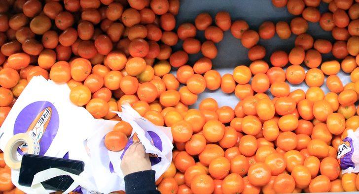 Narenciye ihracatını 2020'de mandalina sırtladı G4