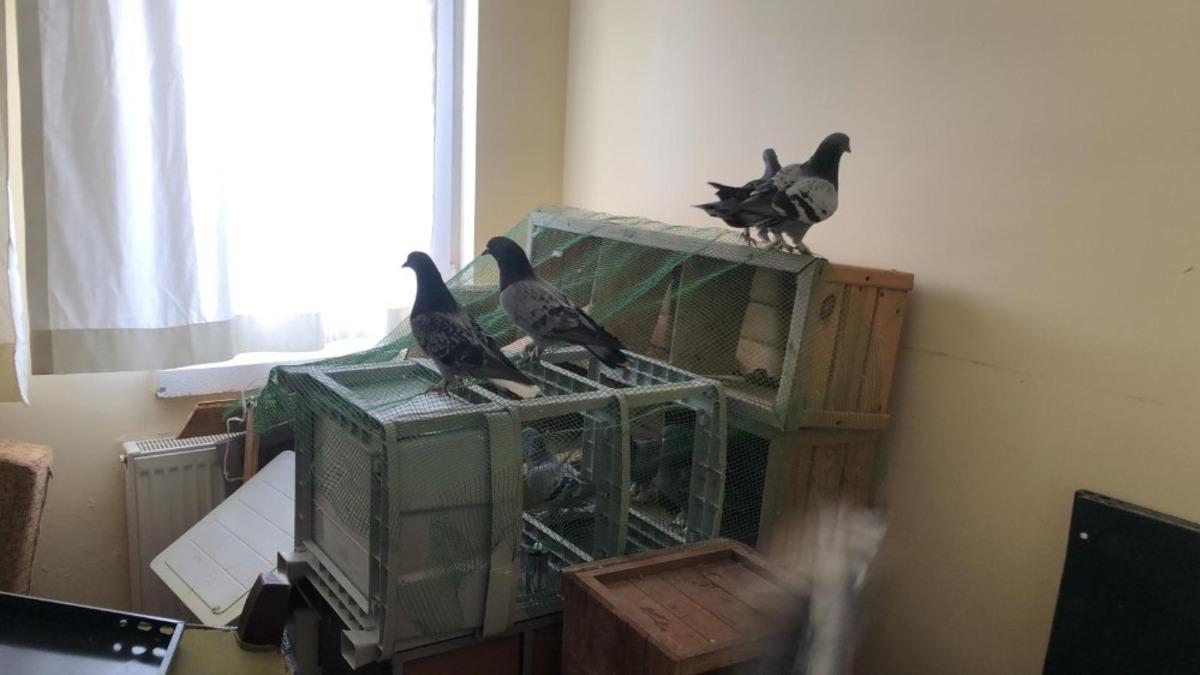 Hırsızlık zanlıları, balkondan ka&ccedil;maya &ccedil;alışırken yakalandı