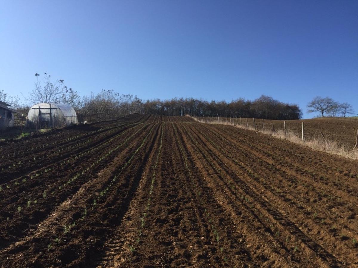 Kocaeli&rsquo;nin t&uuml;m il&ccedil;elerinde tıbbi bitkiler yetiştirilecek