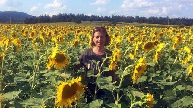 Beyin ölümü gerçekleşen kadının organları üç hastaya umut oldu