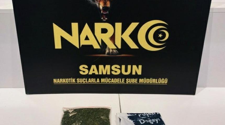 Samsun&rsquo;da bonzai ile yakalanan şahıs g&ouml;zaltına alındı