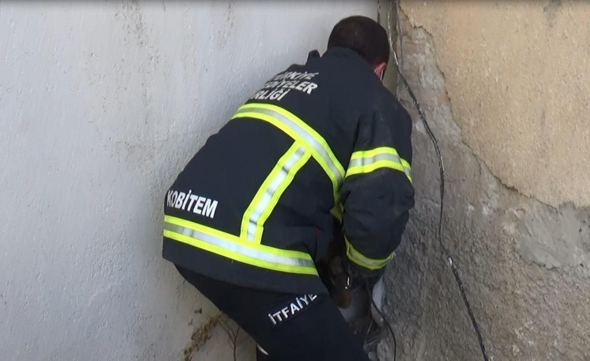 İki bina arasına sıkışan k&ouml;pek bakın nasıl kurtarıldı?