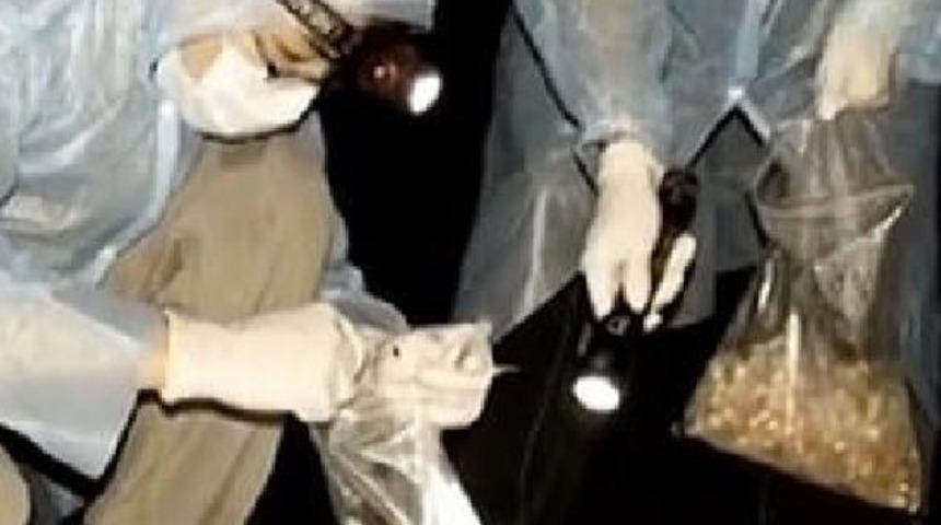 &Ccedil;inli bilim insanından kritik itiraf: İğne gibi ge&ccedil;ti