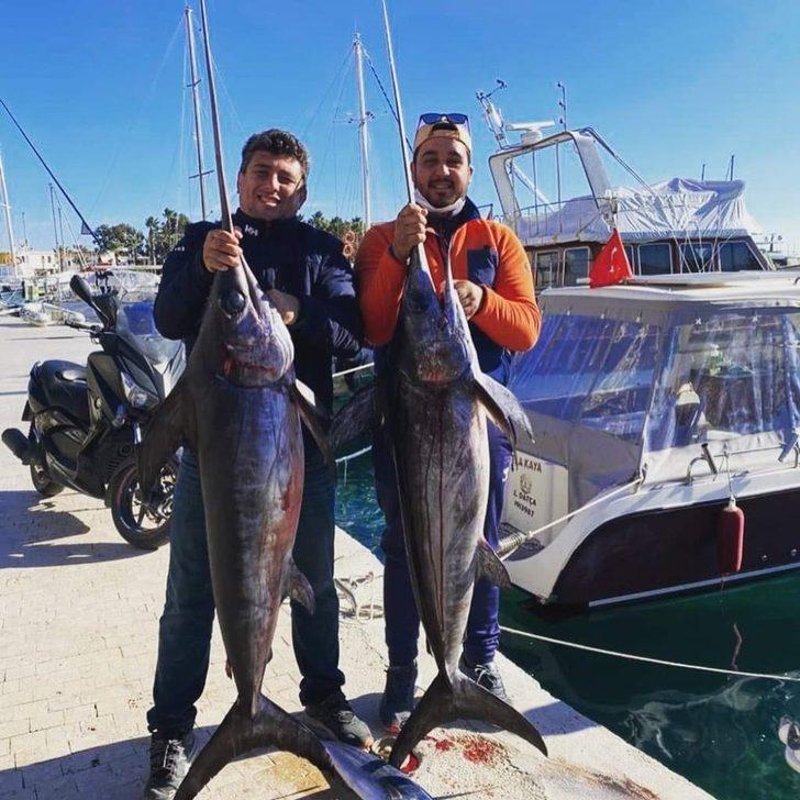 Oltaya takılan dev balık balıkçıları şaşırttı G2