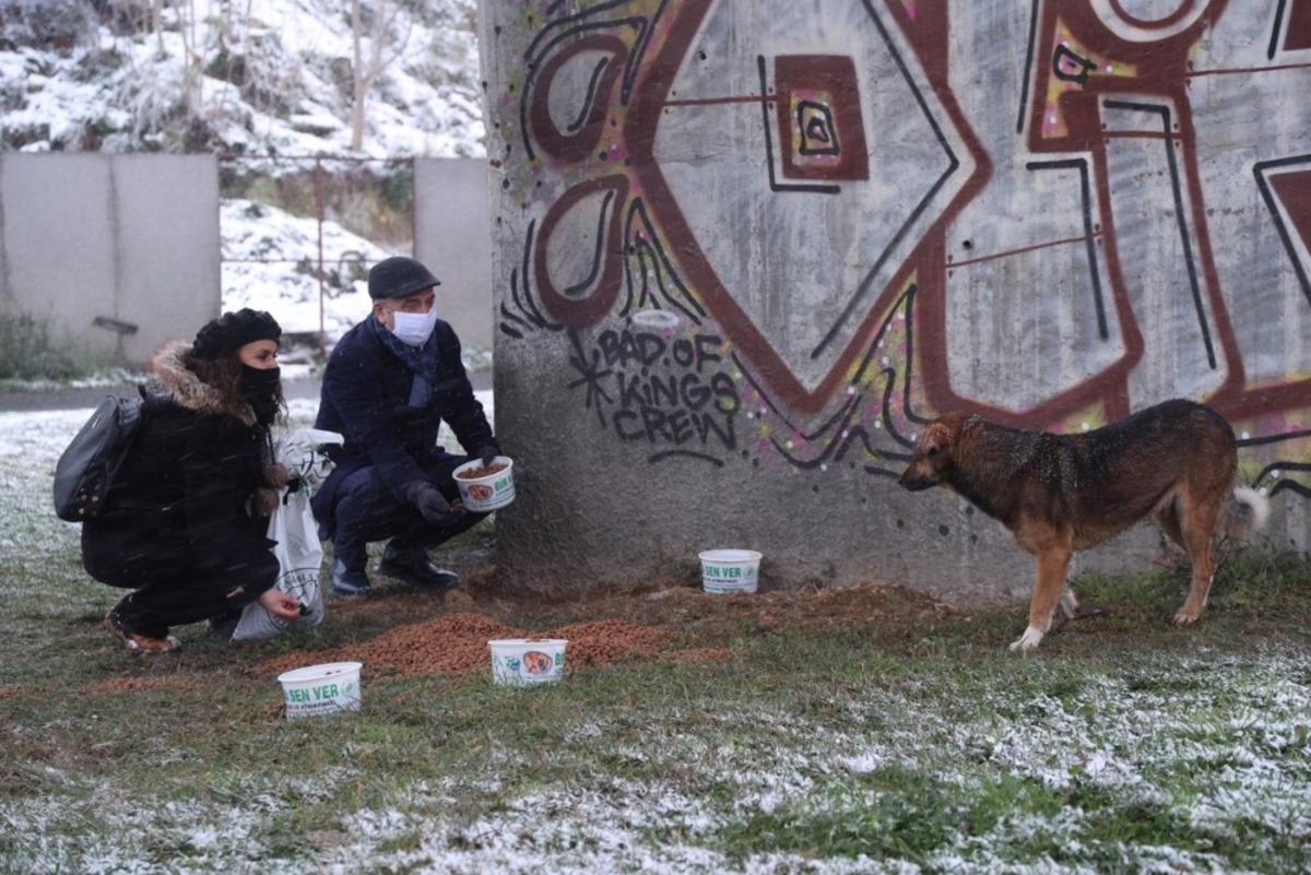 Gaziosmanpaşa&rsquo;da sokak hayvanları karda sahipsiz kalmadı