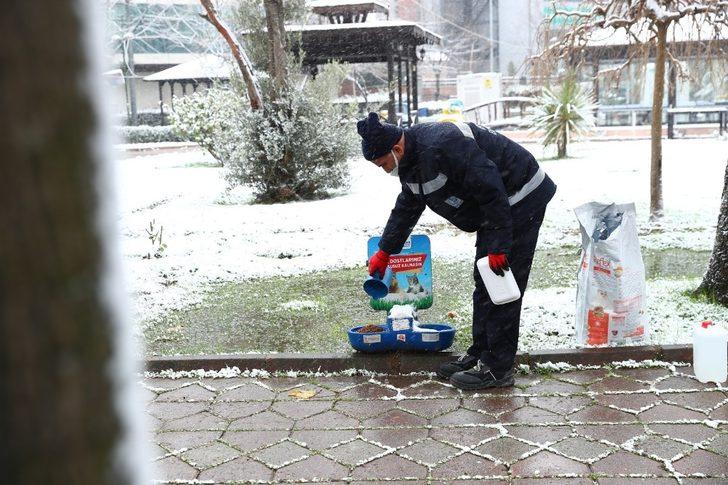 Bağcılar Belediyesi sokak hayvanları için seferber oldu G4