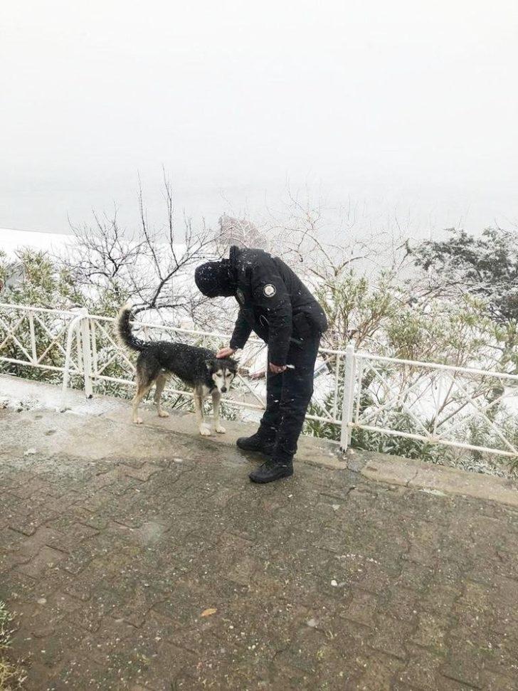 Burhaniye polisi kurallara uymayanlara göz açtırmıyor G5