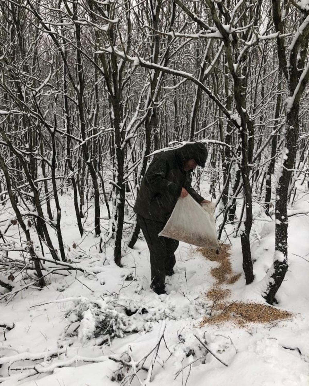 Karlı g&uuml;nlerde yaban hayvanları i&ccedil;in doğaya 200 kilogram yem bırakıldı