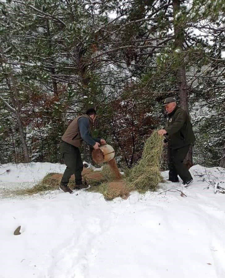 Nallıhan’da yaban hayvanları unutulmadı G3
