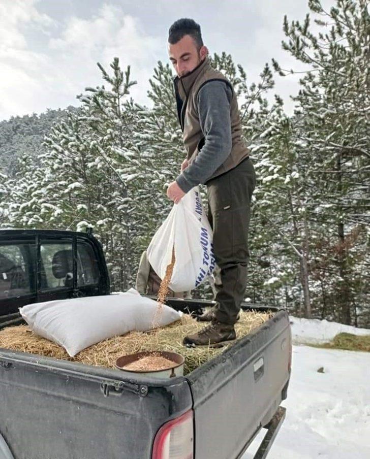 Nallıhan’da yaban hayvanları unutulmadı G4