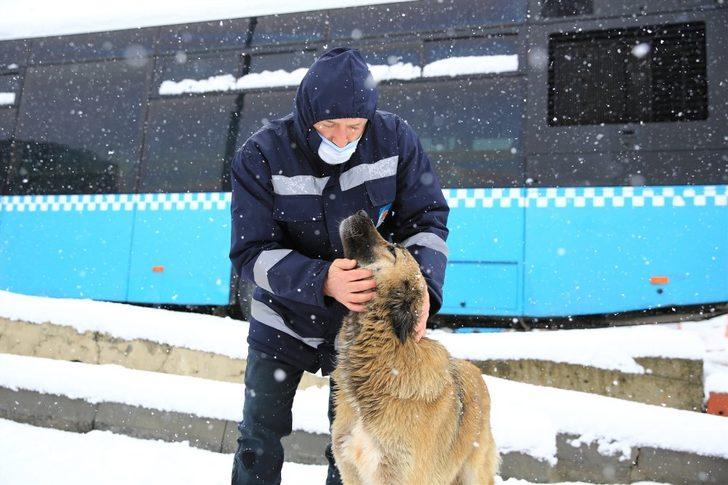 Sokak hayvanları Çekmeköy Belediyesi’ne emanet G3
