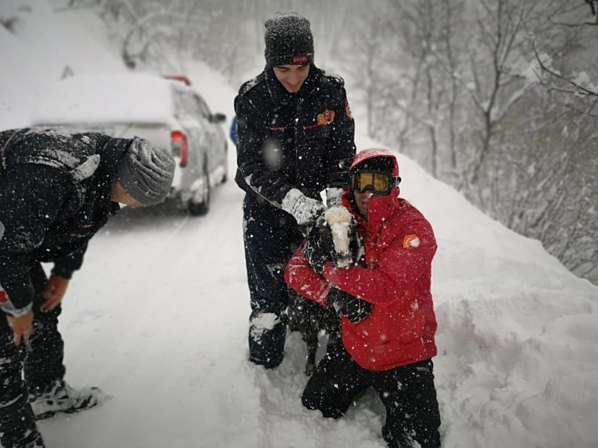 Kocaeli&rsquo;de itfaiye erleri doktoru ararken ke&ccedil;iyi kurtardı