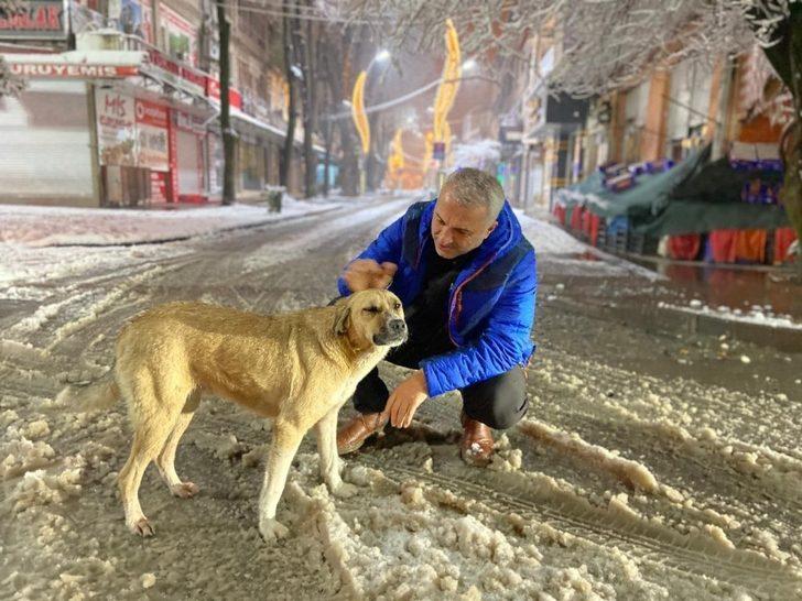 Hendek’te yoğun kar mesaisi G3