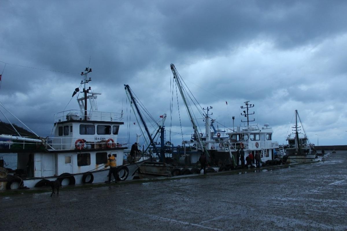 Sinop&rsquo;ta deniz mayını bulundu