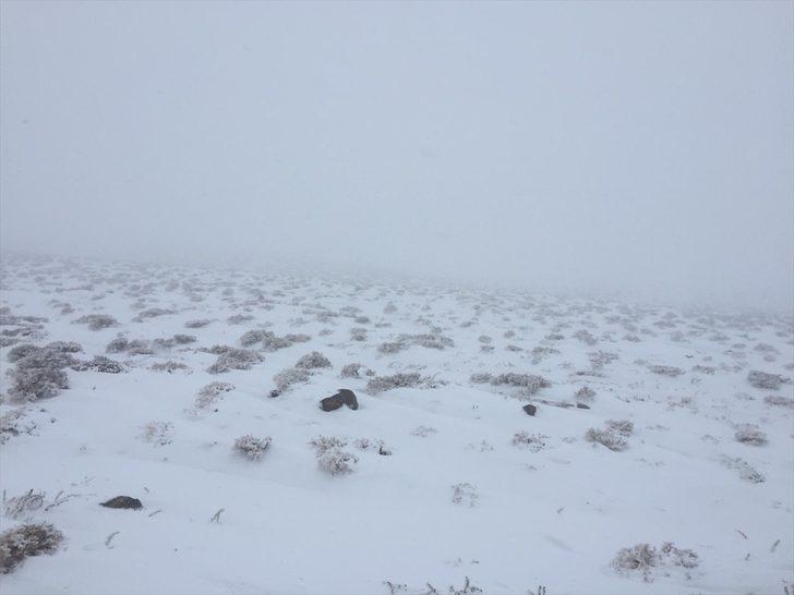 Şanlıurfa'nın yüksek kesimlerinde kar yağışı etkili oluyor G4