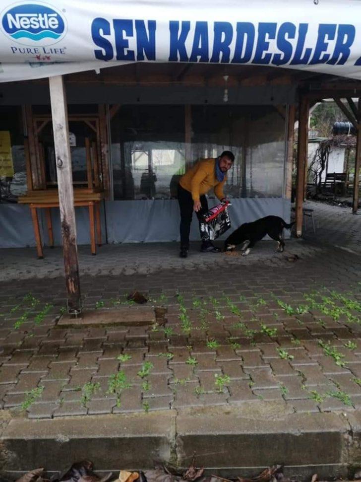 Kazancının yarısını sokak hayvanları için harcıyor G2