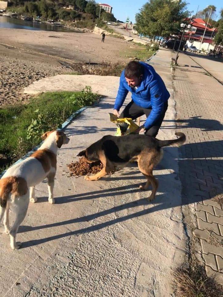 Kazancının yarısını sokak hayvanları için harcıyor G3