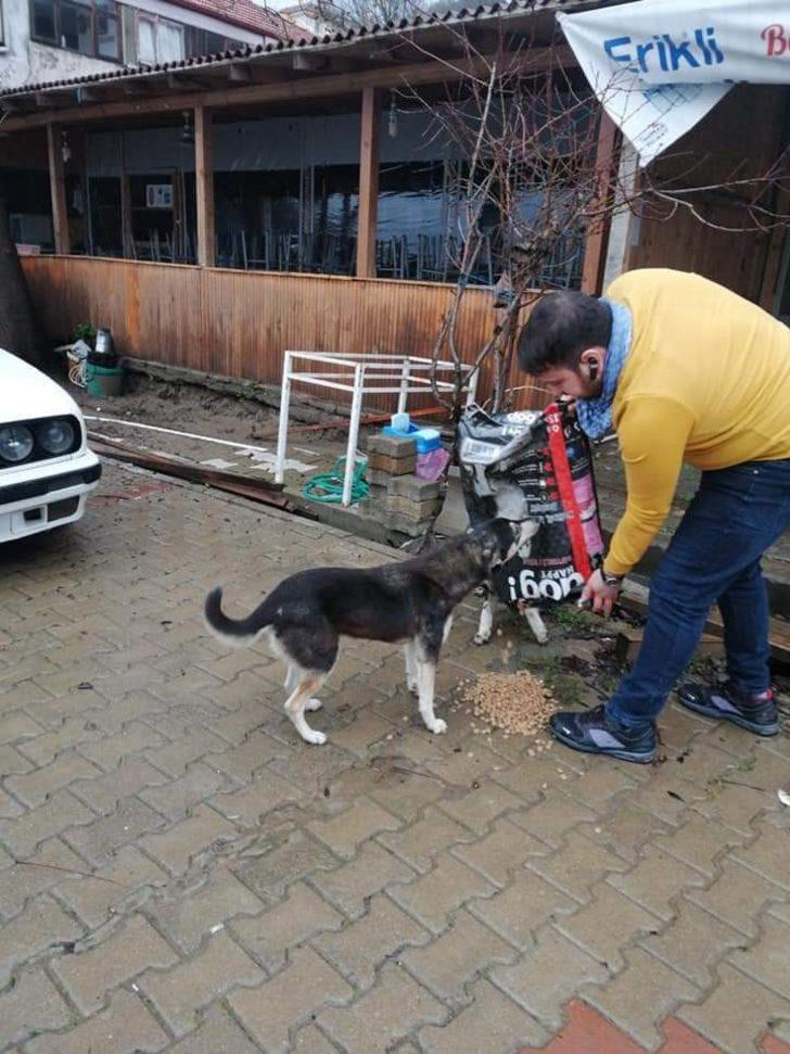 Kazancının yarısını sokak hayvanları için harcıyor G4