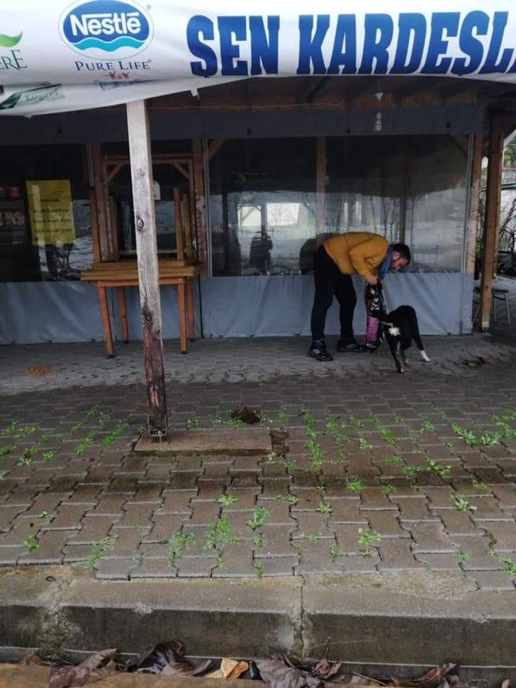 Kazancının yarısını sokak hayvanları için harcıyor G5