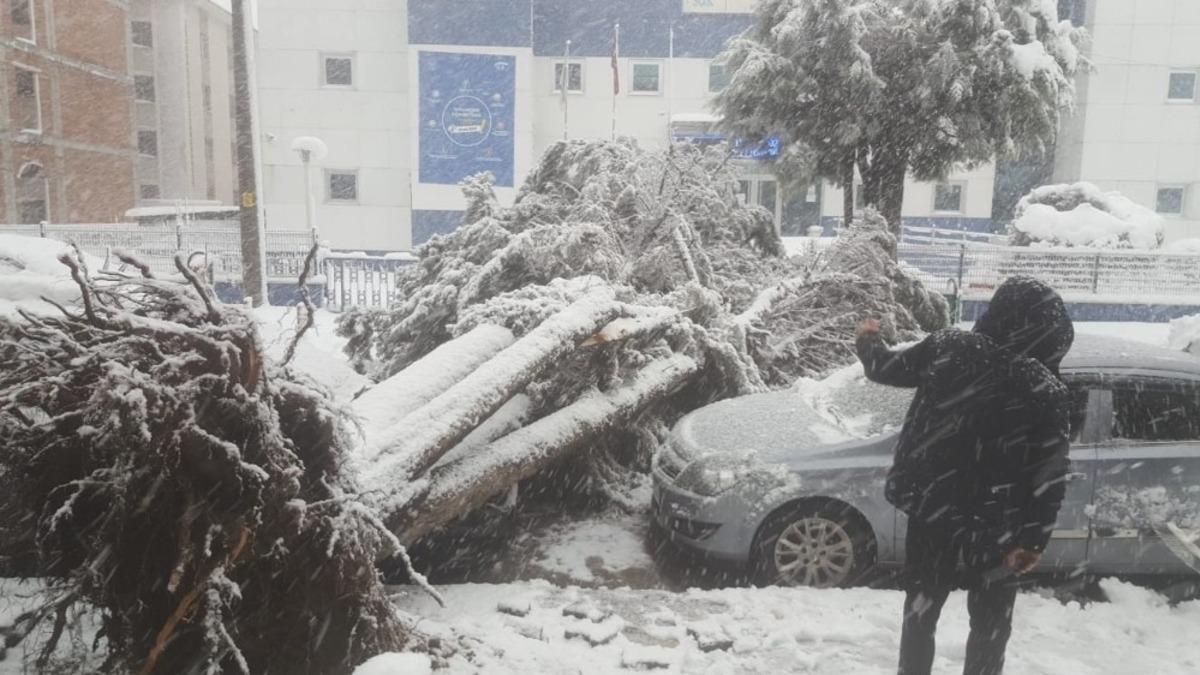 Kar nedeniyle ağa&ccedil; aracın &uuml;zerine yıkıldı