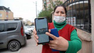 Dehşete düşüren iddia! 15 sokak kedisi zehirlenerek öldürüldü