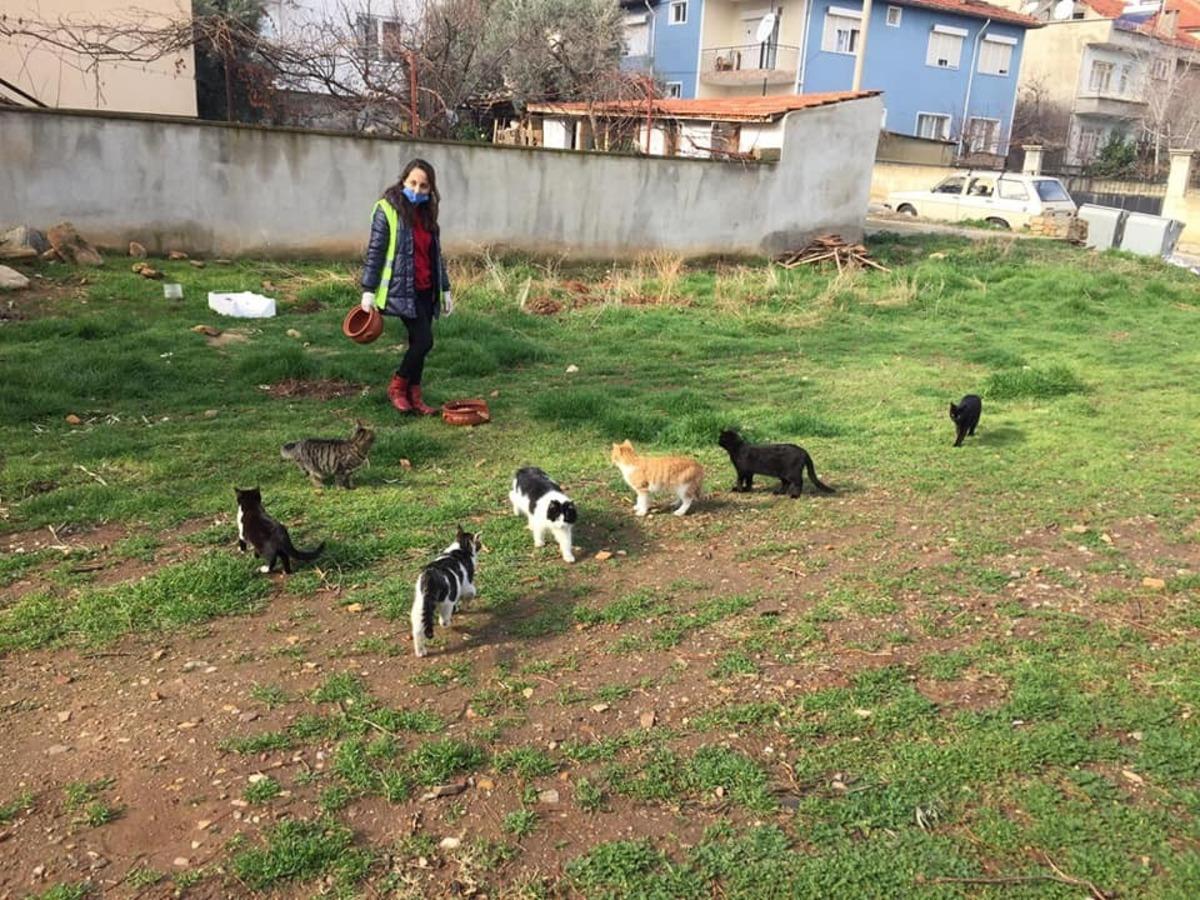 Karacasu&rsquo;da sokak canları unutulmadı