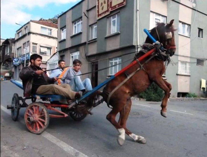 Timurtaş Onan: "Fotoğraf çekerken kendimi kaybediyorum" G1