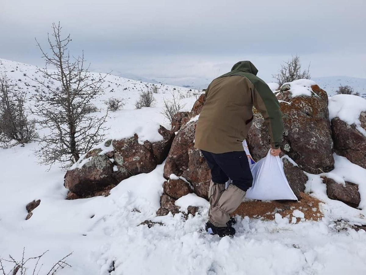 Sivas&rsquo;ta usuls&uuml;z avlanan 4 avcı yakayı ele verdi