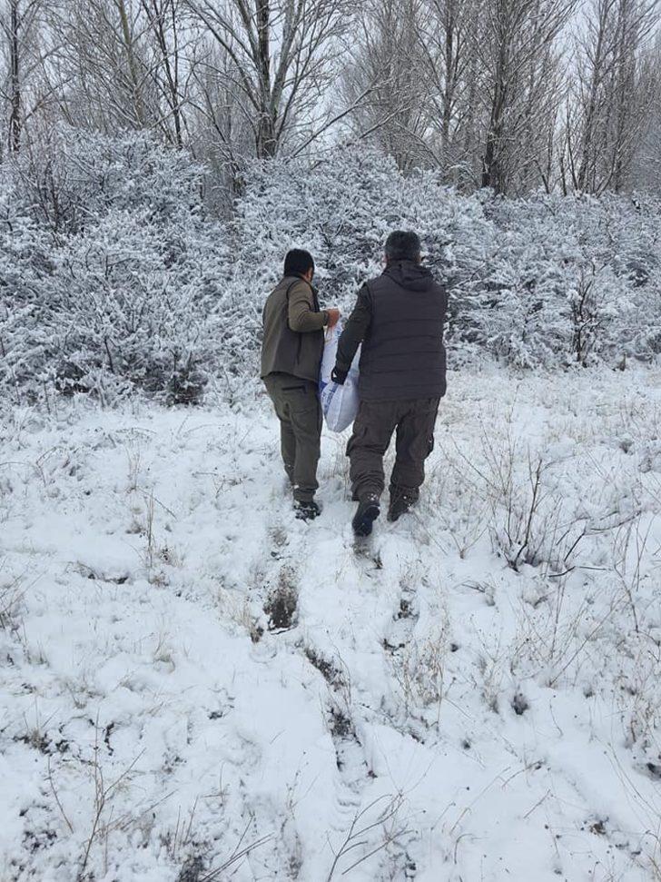 Sivas’ta usulsüz avlanan 4 avcı yakayı ele verdi G3
