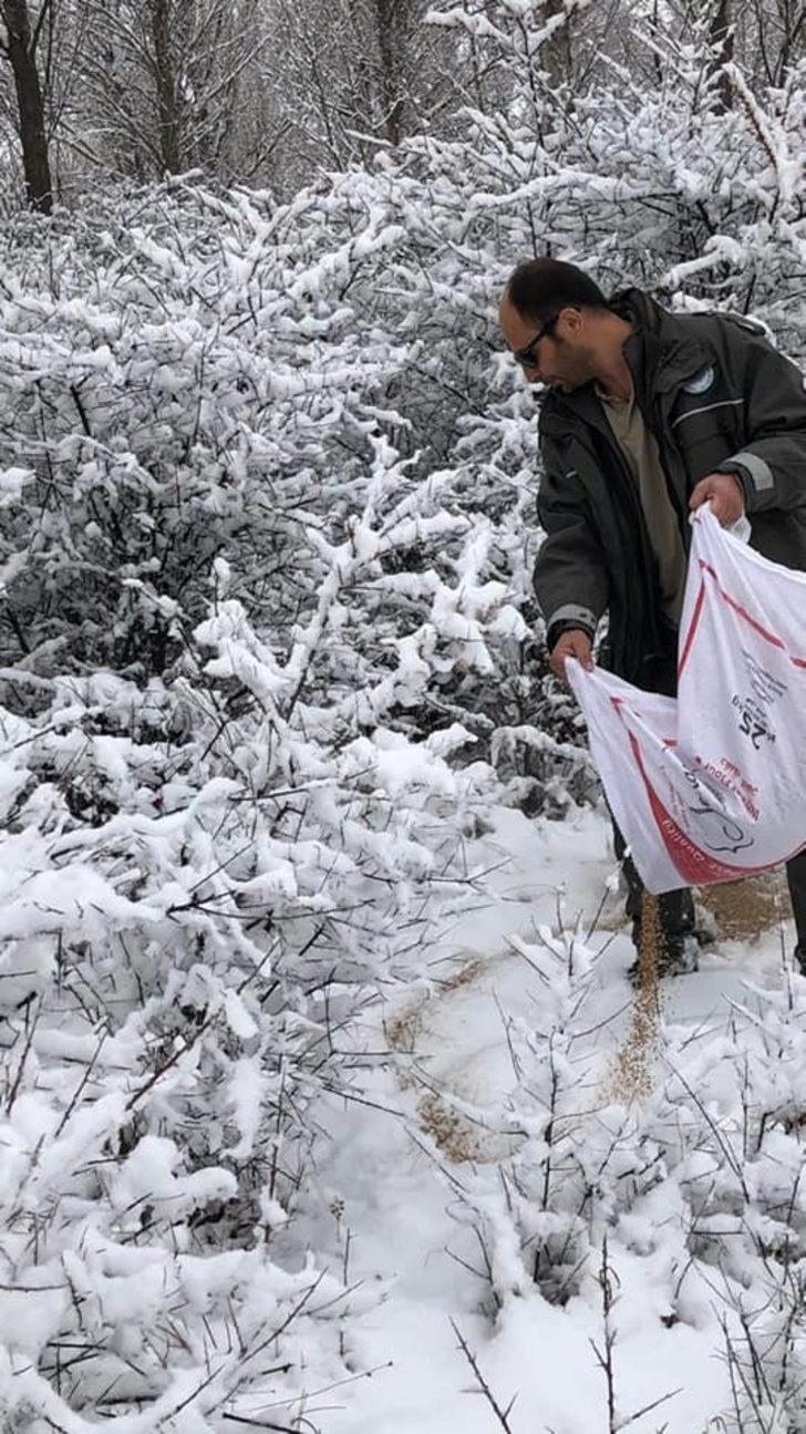 Sivas’ta usulsüz avlanan 4 avcı yakayı ele verdi G4