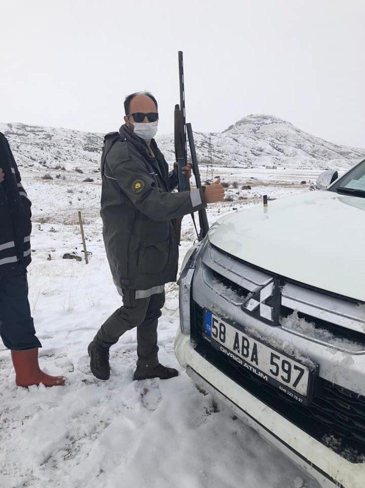 Sivas’ta usulsüz avlanan 4 avcı yakayı ele verdi G5