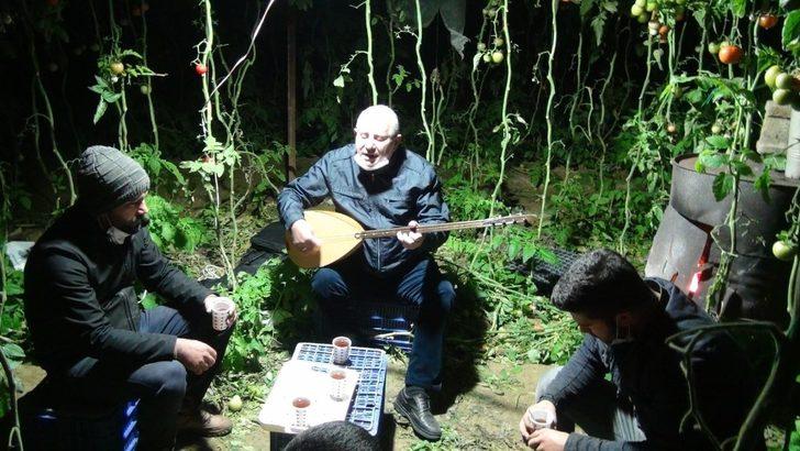 Antalya’da seralarda sazlı sözlü ’Don’ nöbeti başladı G2