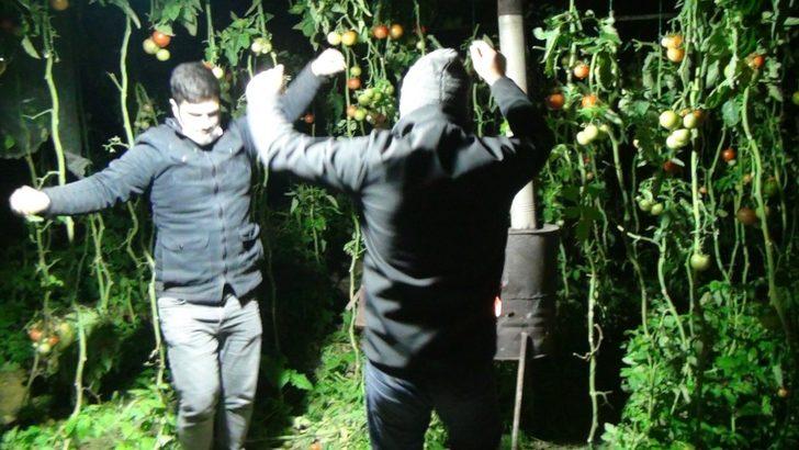 Antalya’da seralarda sazlı sözlü ’Don’ nöbeti başladı G3