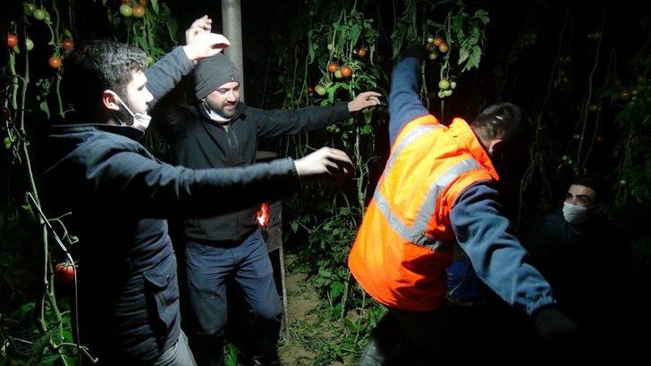 Antalya’da seralarda sazlı sözlü ’Don’ nöbeti başladı G4