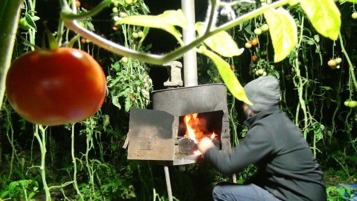Antalya’da seralarda sazlı sözlü ’Don’ nöbeti başladı G5