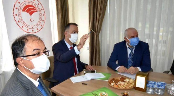 Amasya OBM 2020’de 7 milyondan fazla fidan üretti G3