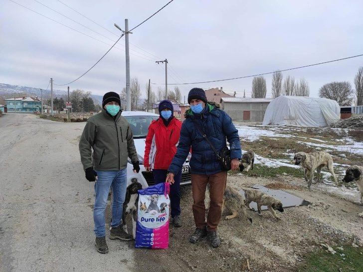 Soğuk havalarda sokak hayvanları unutulmadı G4