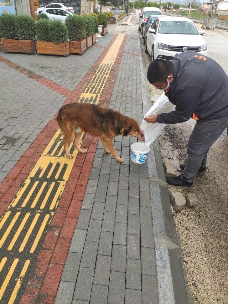 Büyükşehir Belediyesi ekipleri, sokağa çıkma yasağında yine görev başındaydı G5