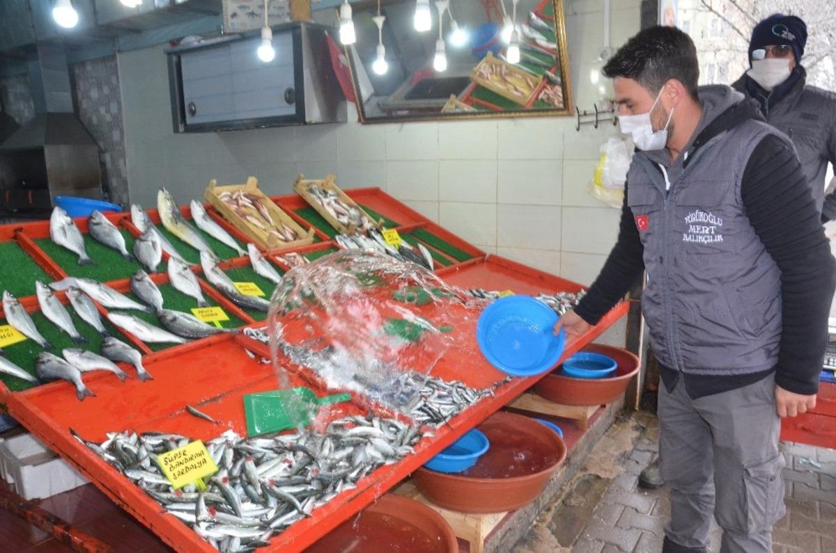 Aşırı avlanma hamsi fiyatlarını etkiliyor