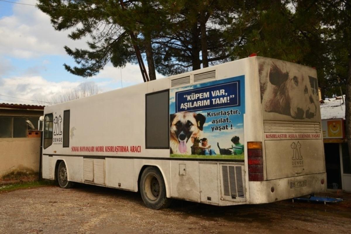 Gediz&rsquo;de sahipsiz sokak hayvanları i&ccedil;in &ccedil;alışmalar başlatıldı