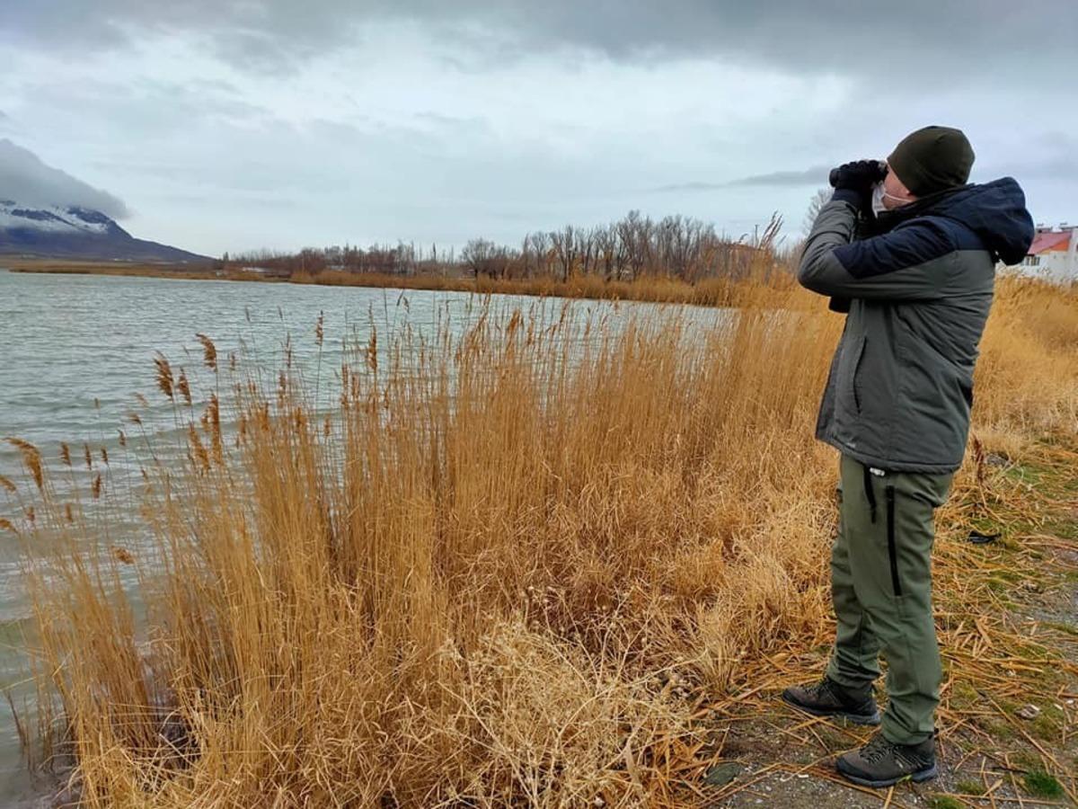 Sivas&rsquo;ta su kuşu sayımı yapıldı