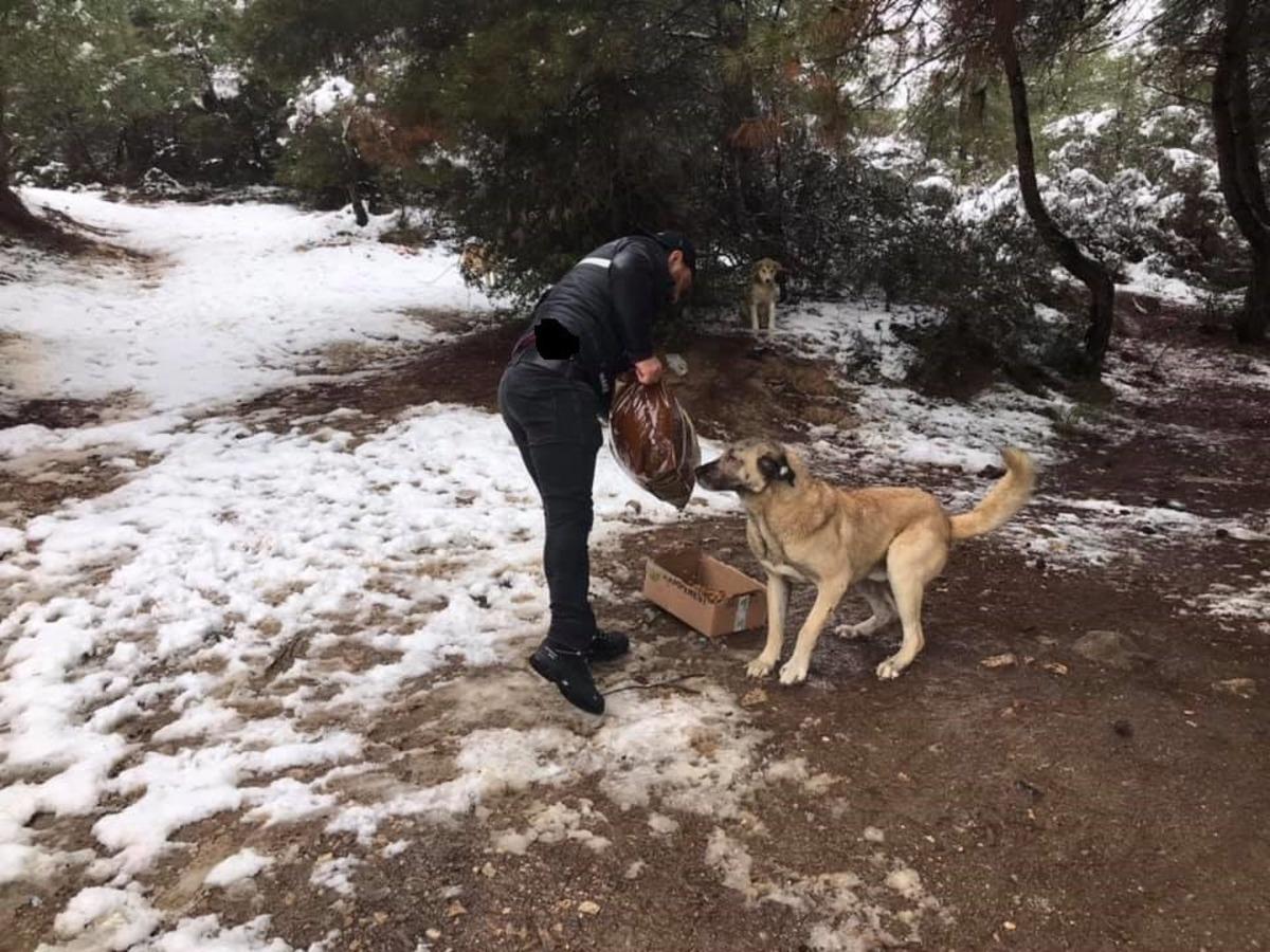 İş insanından &ouml;rnek davranış