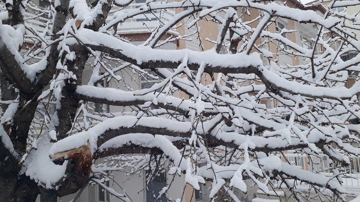 Merzifon beyaza büründü G4