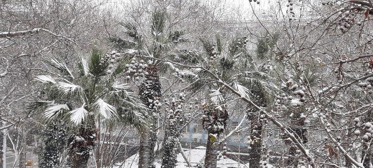 Denizli’yi kaplayan beyaz örtü herkesi mutlu etti G4