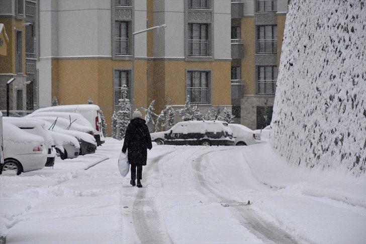 Orta ve Doğu Karadeniz'de kar yağışı etkili oluyor G1