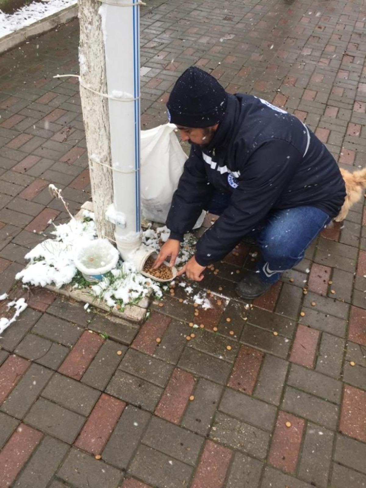 Biga Belediyesi soğuk havalarda sokak hayvanlarını unutmadı