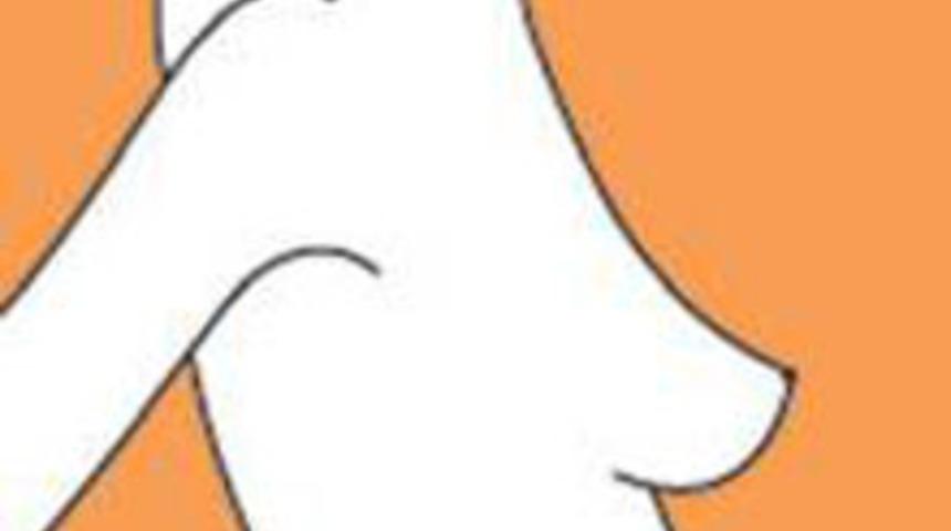 İdeal Sutyeninizi Bulun