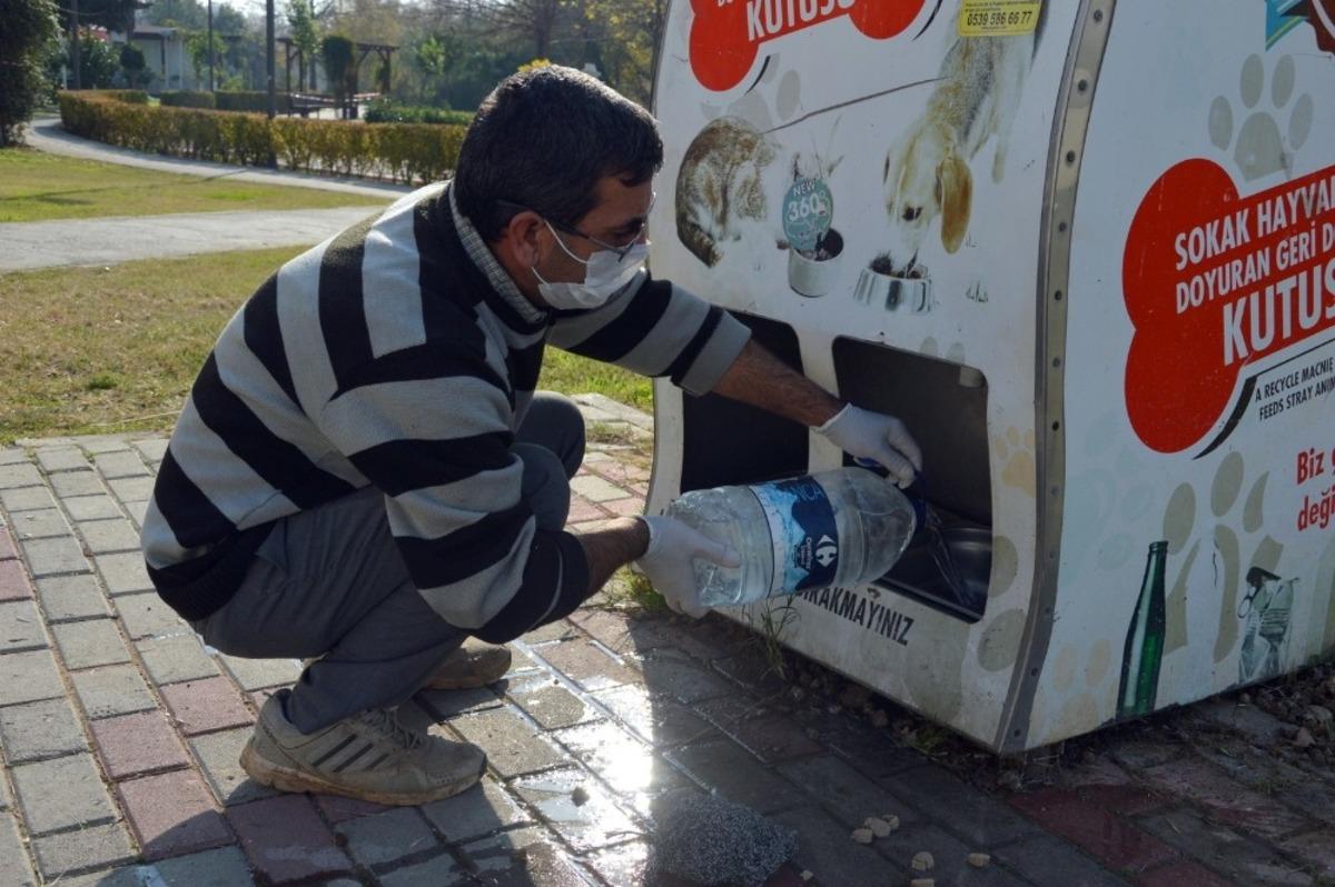Manavgat Belediyesi sokak hayvanlarını unutmadı