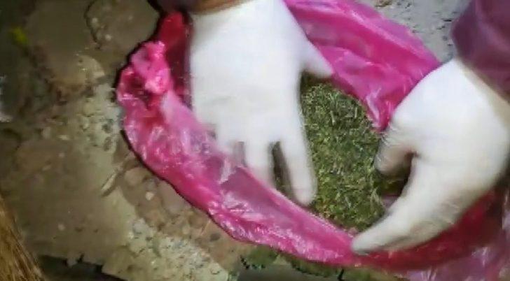 Jandarmadan uyuşturucu tacirlerine darbe: 6 tutuklama G2