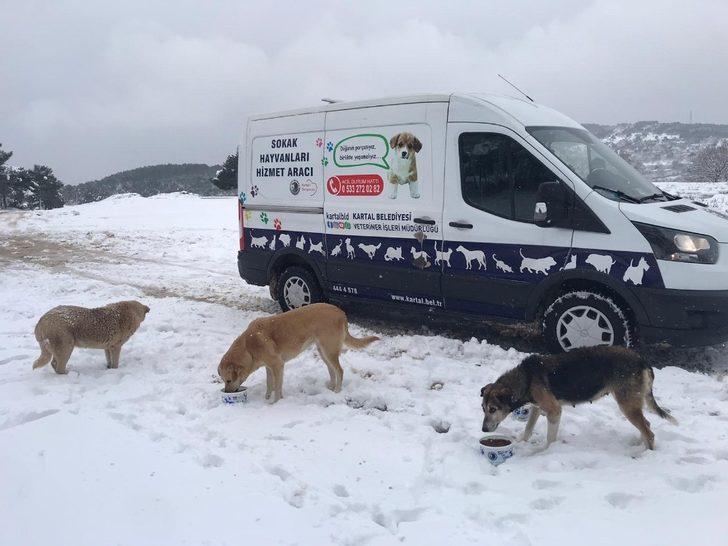 Sokak hayvanları karlı havada da unutulmadı G1